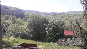 image_11
