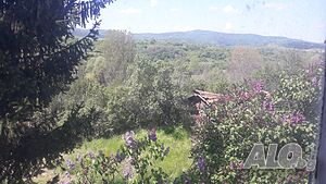 image_12