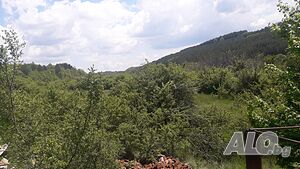 image_13