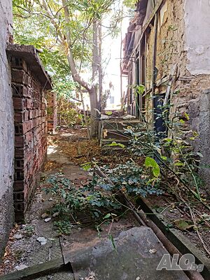 image_8