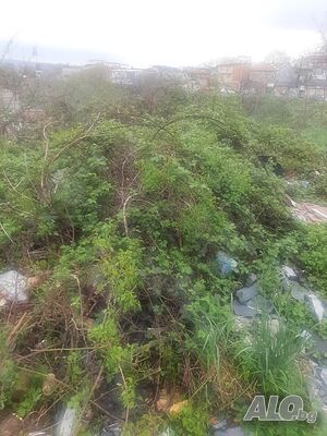 Почистване изхвърляне на Всякакви видове Отпадаци дворове парцели лозя мази мазета апартаменти