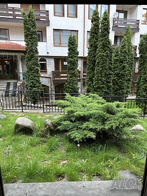 image_3