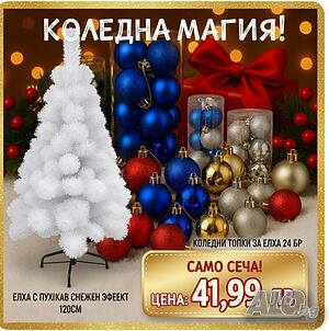 Коледна магия
