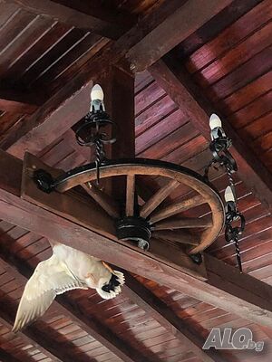 image_10