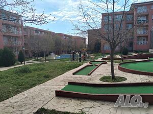 image_12