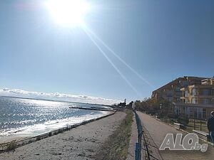 image_19
