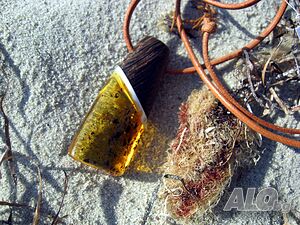 image_8