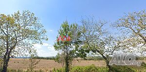 Продава се земя - 5,5 дка в село Близнаци, област Варна