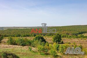 image_15