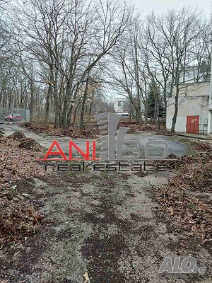 image_11