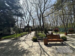 image_9