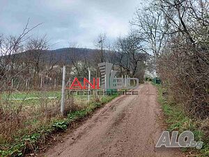 image_7