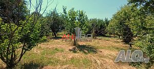 image_9