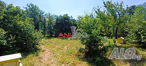 image_11