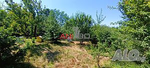 image_12