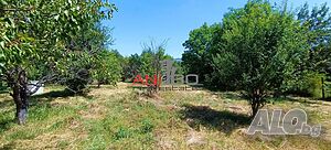 image_14