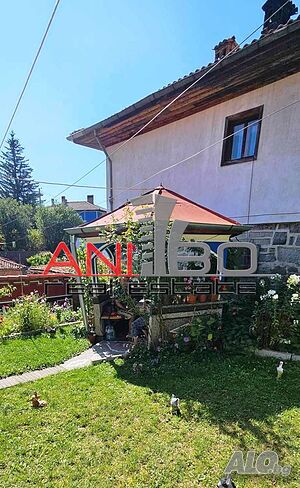 image_6