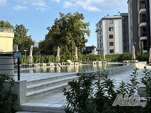 image_11