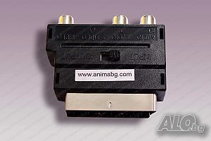 image_3