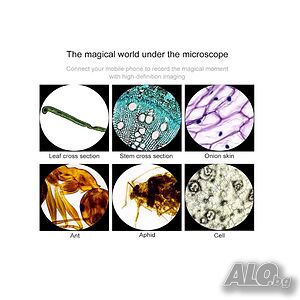image_7