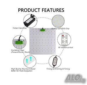 image_7