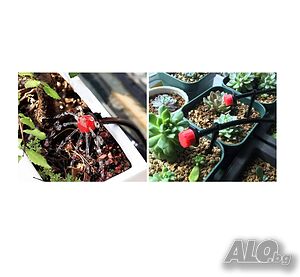 image_9