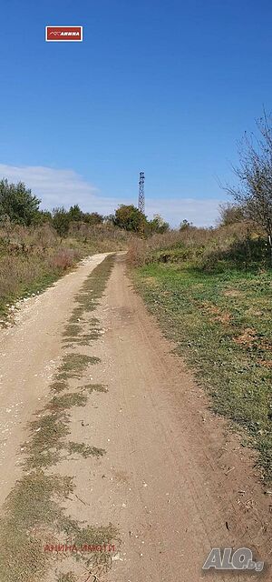 image_6