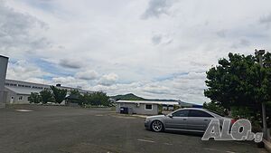 image_9
