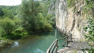 image_12
