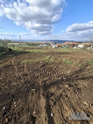 image_9