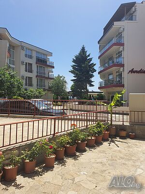 image_5
