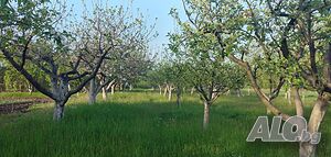 Овощна градина, подходяща за строителство ( 1 дка) село Ерден, обл. Монтана