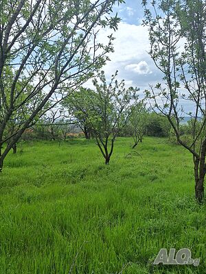 image_8