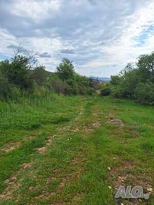 image_11