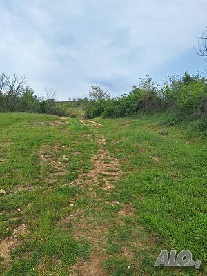 image_12
