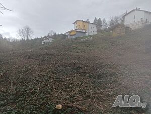 image_6