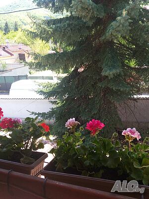 image_13