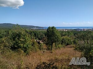 image_9