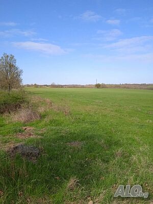 Нива в с. Велика на 2 км. от морето