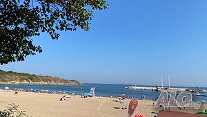 image_6