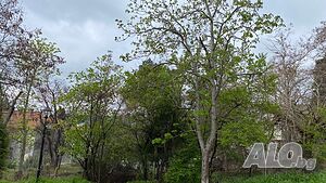 image_12