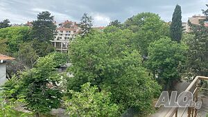image_19