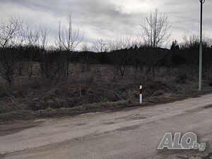 image_2
