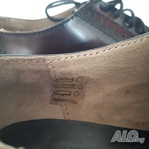 image_5