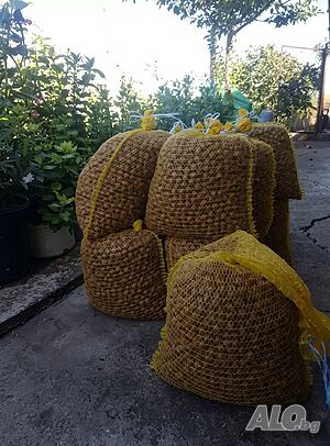 Продавам Лешници - сурови и с черупка