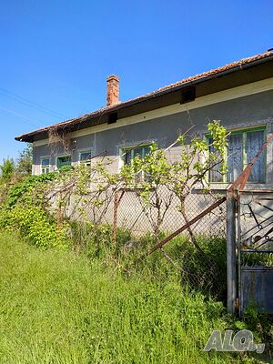 image_11
