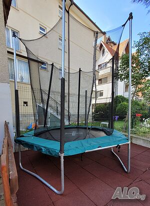 image_8
