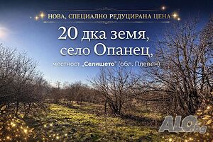 Инвестиционен имот