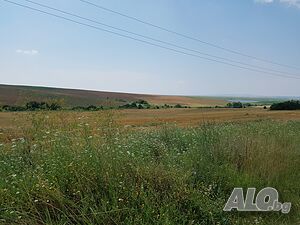 plot of land for sale in Miladinovtsi