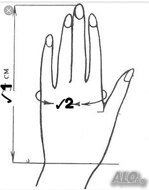 image_5